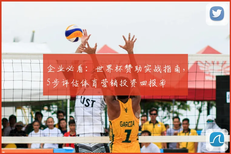 企业必看:世界杯赞助实战指南,5步评估体育营销投资回报率