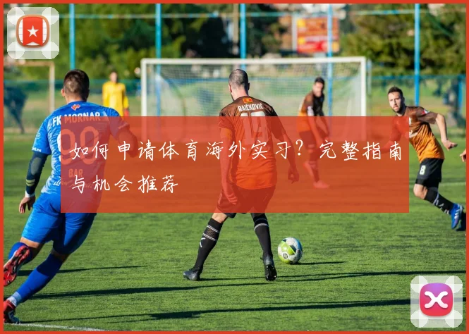 如何申请体育海外实习？完整指南与机会推荐